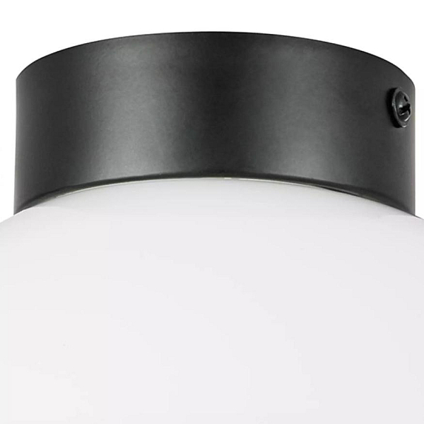 Nastenno potolochnyy svetilnik lightstar globo 812117