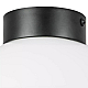 Nastenno potolochnyy svetilnik lightstar globo 812117