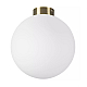 Nastenno potolochnyy svetilnik lightstar globo 812031