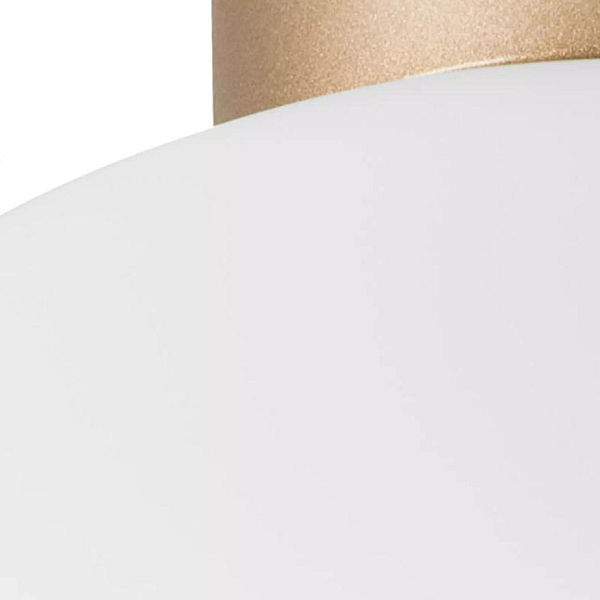 Nastenno potolochnyy svetilnik lightstar globo 812033