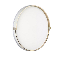Настенно-потолочный светильник Sonex Pale Olidi White 7646/ELN