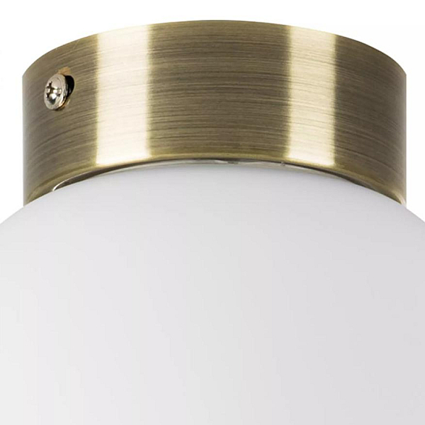 Nastenno potolochnyy svetilnik lightstar globo 812011