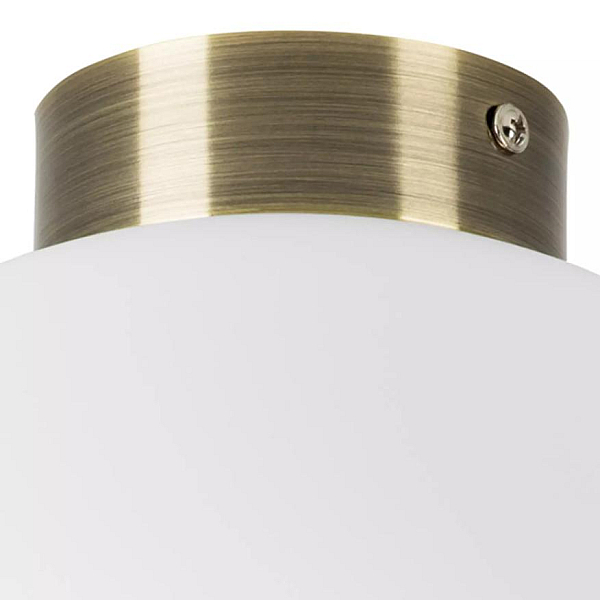 Nastenno potolochnyy svetilnik lightstar globo 812031