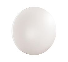 Потолочный светильник Sonex Pale Simple 3017/CLN