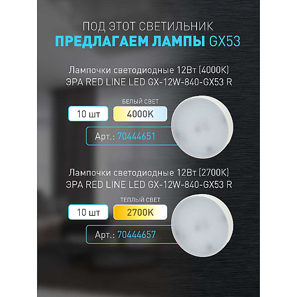 Настенно-потолочный светильник ЭРА OL38 WH Б0056387