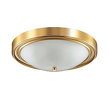 Настенно-потолочный светильник Lumion Vintage 5259/3C