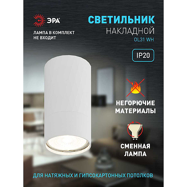 Настенно-потолочный светильник ЭРА OL31 WH Б0056375