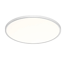 Потолочный светильник Sonex Alfa white 7659/48L