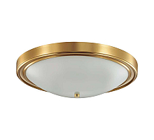 Настенно-потолочный светильник Lumion Vintage 5259/4C