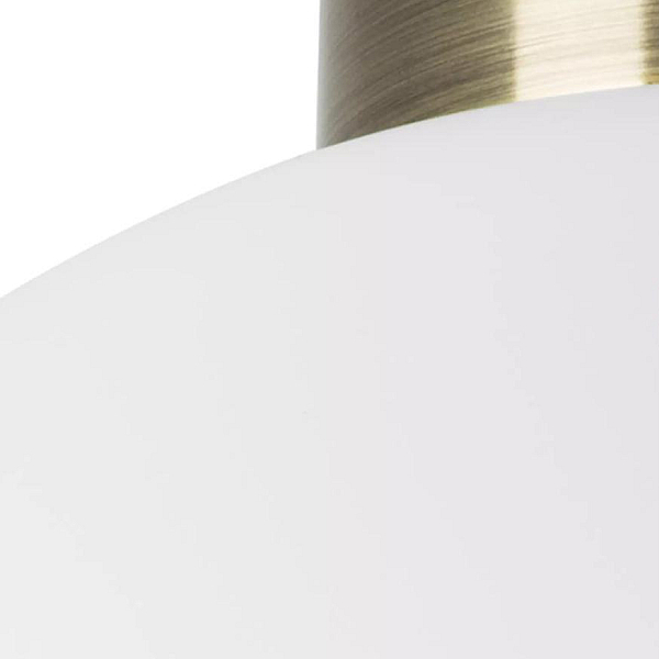 Nastenno potolochnyy svetilnik lightstar globo 812031
