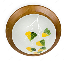 Потолочный светильник Toplight Enilu TL9461Y-01OA