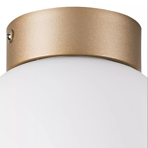 Nastenno potolochnyy svetilnik lightstar globo 812013