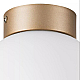Nastenno potolochnyy svetilnik lightstar globo 812013