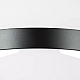 Nastenno potolochnyy svetilnik lightstar globo 812117