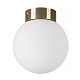 Nastenno potolochnyy svetilnik lightstar globo 812011