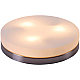 Потолочный светильник Globo Opal 48403