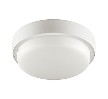 Настенно-потолочный светильник Wolta LCL04-8W-R11-6K-SOA