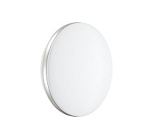 Настенно-потолочный светильник Sonex Pale Ringo 7625/ELN