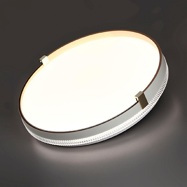 Настенно-потолочный светодиодный светильник Sonex Pale Olidi White 7646/DL