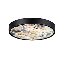 Настенно-потолочный светильник Odeon Light Bergi 5064/24L