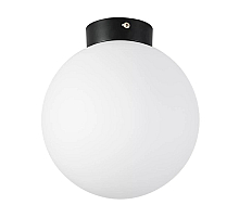 Nastenno potolochnyy svetilnik lightstar globo 812027