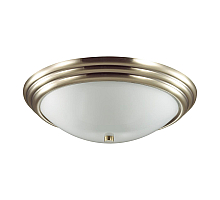 Настенно-потолочный светильник Lumion Vintage 5262/3C