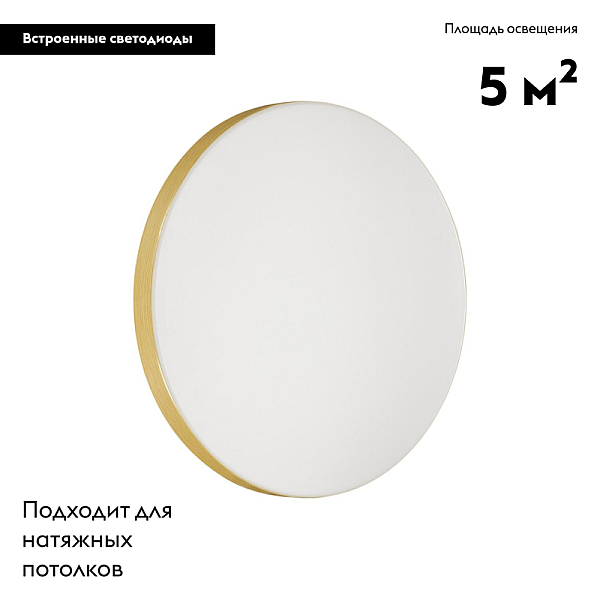 Настенно-потолочный светодиодный светильник Sonex Mini Smalli 3066/AL