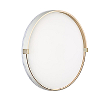 Настенно-потолочный светильник Sonex Olidi white 7646/DL