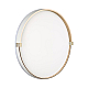 Настенно-потолочный светодиодный светильник Sonex Pale Olidi White 7646/DL