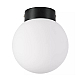 Nastenno potolochnyy svetilnik lightstar globo 812017