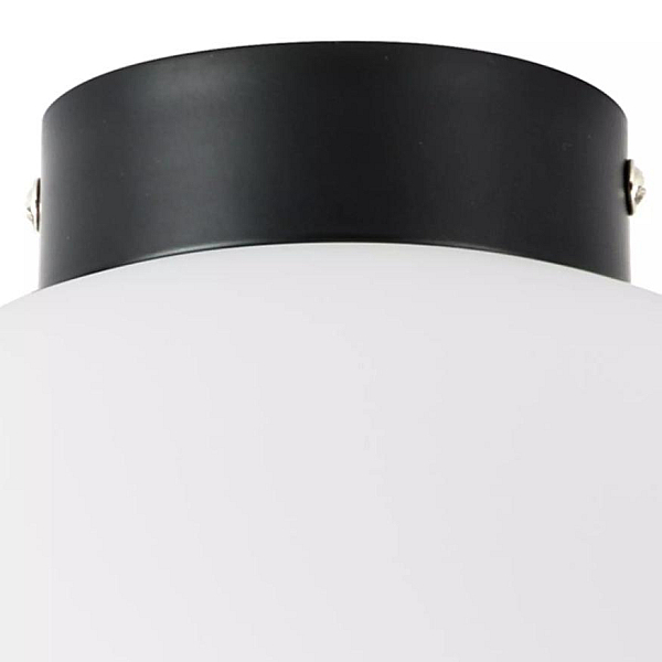 Nastenno potolochnyy svetilnik lightstar globo 812037