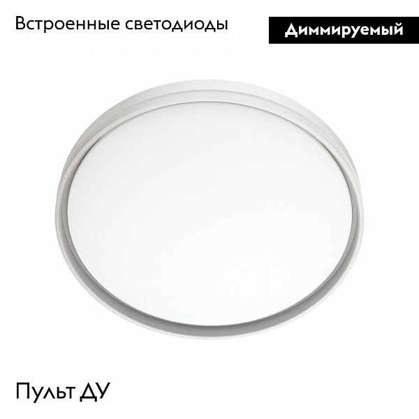 Настенно-потолочный светодиодный светильник Sonex Savi 7631/DL