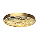 Настенно-потолочный светильник Odeon Light BERGI 5079/40L