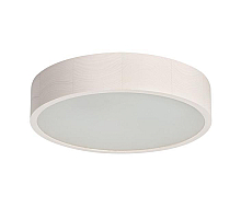 Настенно-потолочный светильник Kanlux Jasmin 370-W 23124