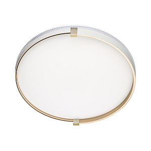 Настенно-потолочный светильник Sonex Olidi white 7646/DL