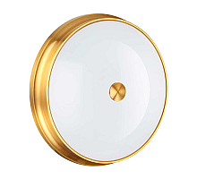 Потолочный светильник Odeon Light 4824/4C