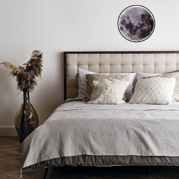 Настенно-потолочный светодиодный светильник Escada Planet 10226/SG LED Mars
