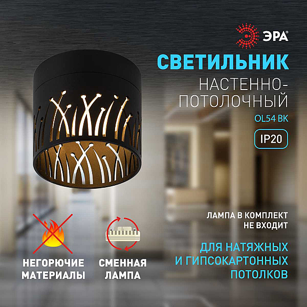 Настенно-потолочный светильник ЭРА OL54 BK Б0061192