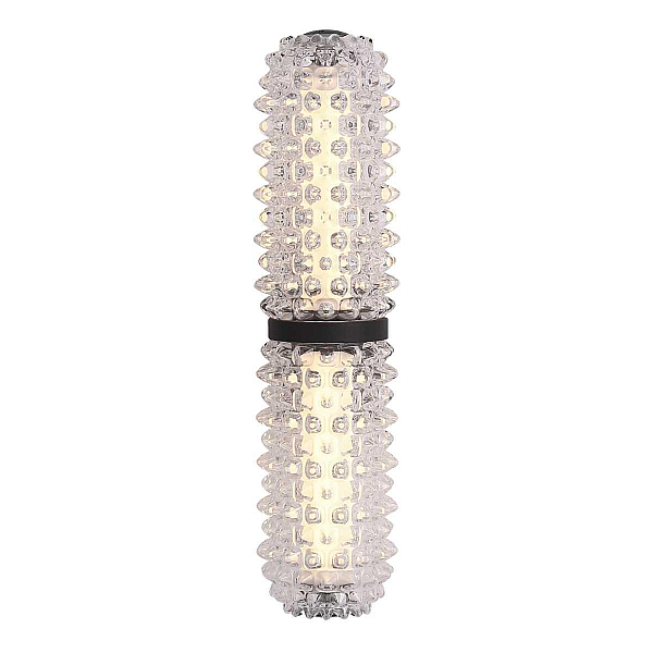 Настенный светильник ST Luce SAGUARO SL6144.401.01