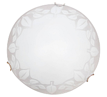 Настенный светильник Arte Lamp Leaves A4020PL-2CC