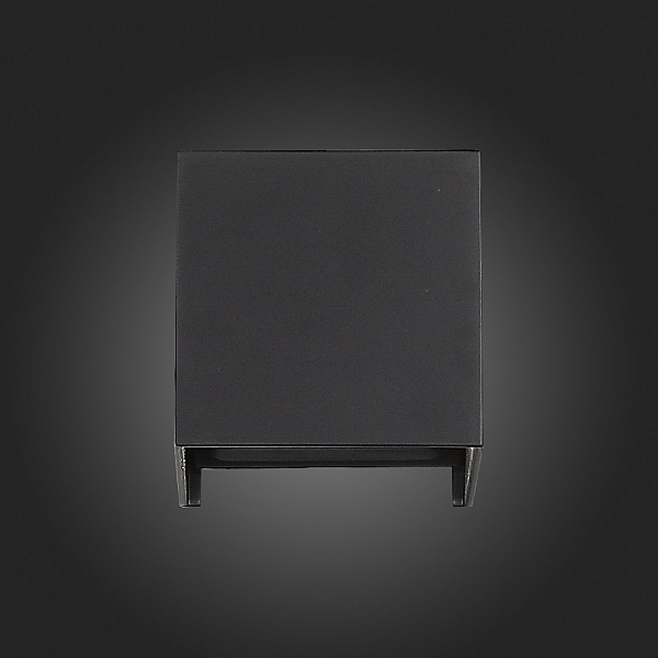 Уличный настенный светодиодный светильник ST Luce SL560.401.02