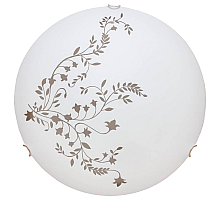 Настенный светильник Arte Lamp Ornament A3820PL-2CC