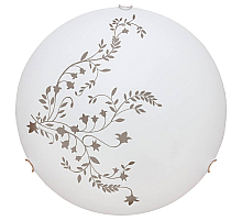 Настенный светильник Arte Lamp Ornament A3820PL-2CC