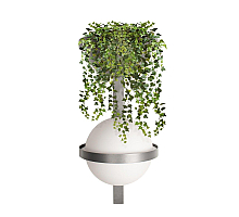 Настенный светильник Loft IT Jardin 10121W/B Dark grey