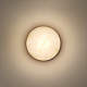 Настенный светильник Odeon Light Nature Candela 7190/6WLA