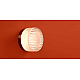 Настенный светильник Freya Modern Retro FR5603WL-L8TR1