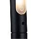 Настенный светильник Loft IT Stick 10012/6BK