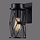 Настенный светильник Favourite Mesh 1783-1W