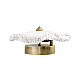 Настенный светильник Loft IT Bloom 10352W/B AB