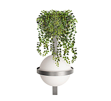Настенный светильник Loft IT Jardin 10121W/B Dark grey